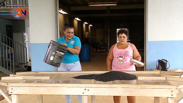 mqn-Los Chiles es cantón de frijoleros-201119