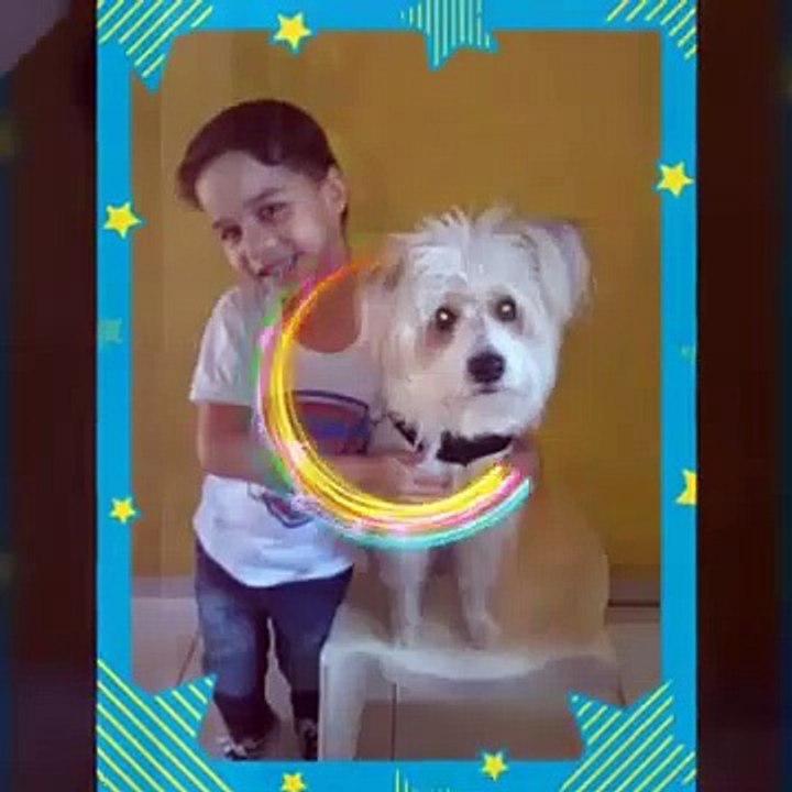 DOBBY -sejam bem vindo ao canal de dobby VAMOS AJUDAR