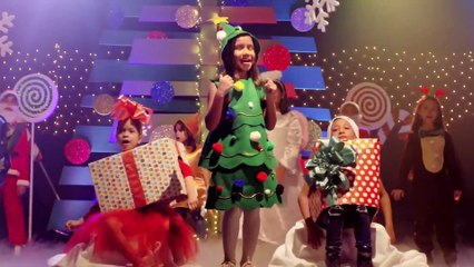 NoticiasSIN Emisión Estelar - 20/11/2019