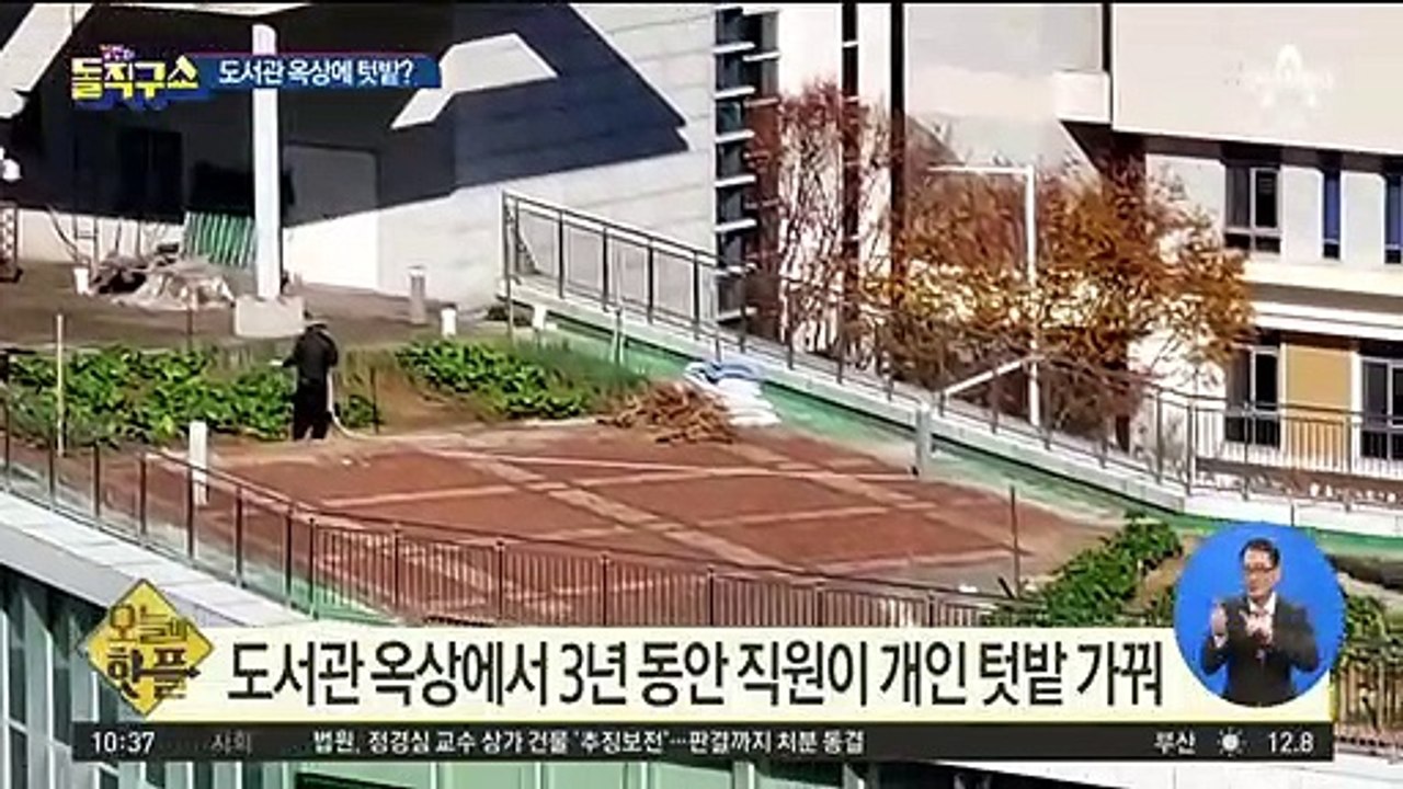 [핫플]도서관 옥상에 텃밭?…“3년 동안 몰랐다”