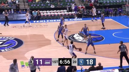 Eric Mika (22 points) Highlights vs. Texas Legends