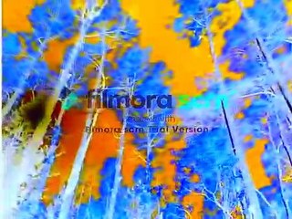 Baby Van Gogh in G Major [Part 1]