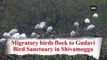 Migratory birds flock to Gudavi Bird Sanctuary in Shivamogga