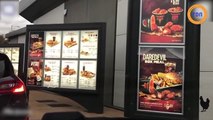 Il mange chez KFC pendant 7 jours et le résultat est surprenant