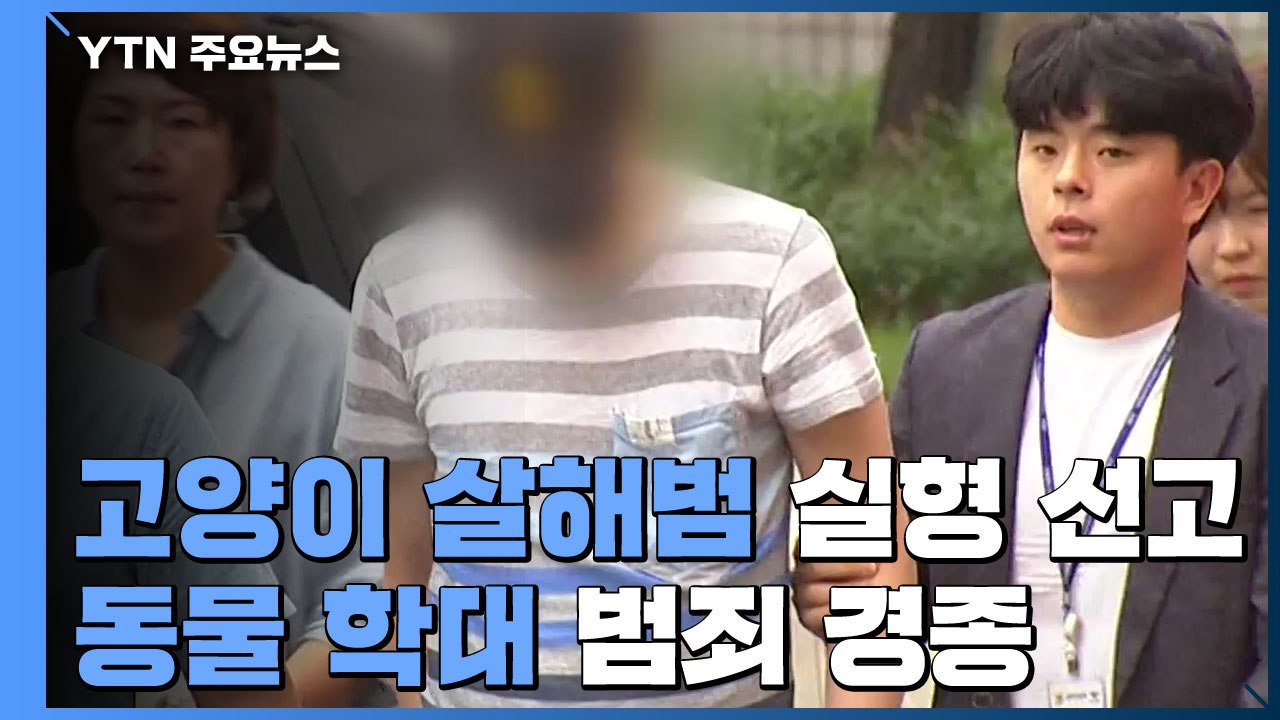 '경의선 고양이 살해' 실형...징역 6개월 선고 / YTN