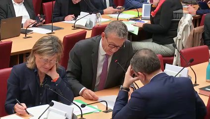 Commission des affaires économiques : Mme Isabelle Kocher, directrice générale du groupe ENGIE - Mercredi 20 novembre 2019