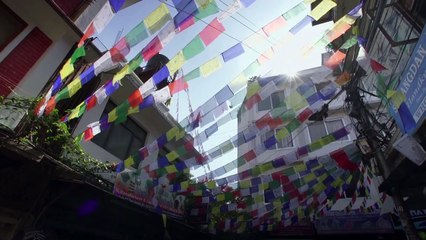 Patricia Lapointe | The Faces Behind FACEOFF | AYTP