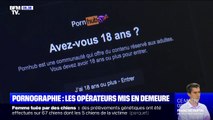 Emmanuel Macron exige la mise en place d'un contrôle parental par défaut sur les sites pornographiques