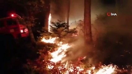 Çanakkale'de orman yangını