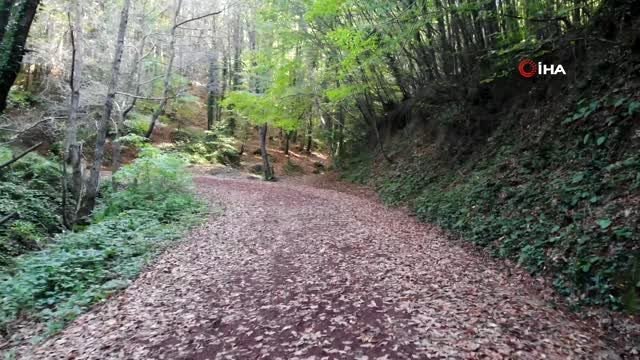 Beykoz'da sonbahar manzarası hayran bıraktı