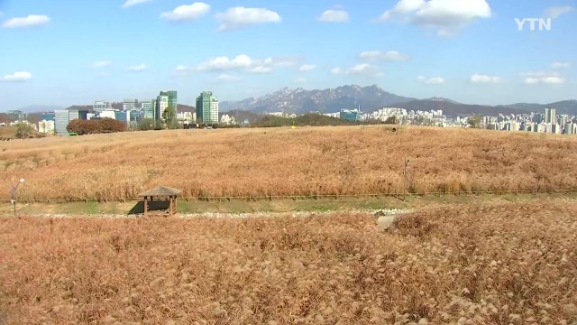 [날씨] 추위 풀리고 계절 제자리...내일 맑고 온화 / YTN
