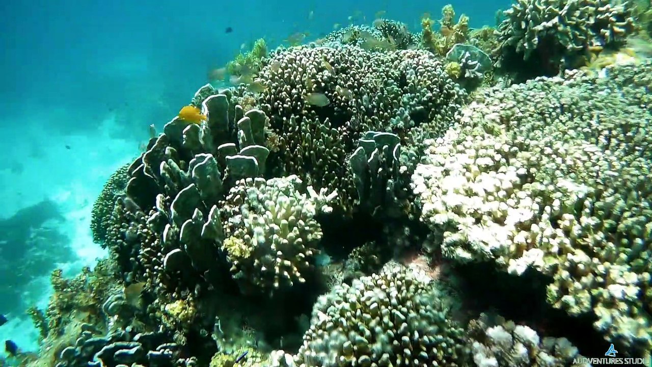 Getting Lost In Romblon Philippines