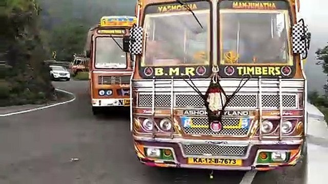 Driving skill - just another incredible day on the roads in India!