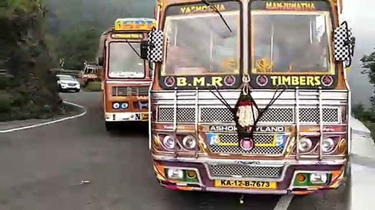 Driving skill - just another incredible day on the roads in India!