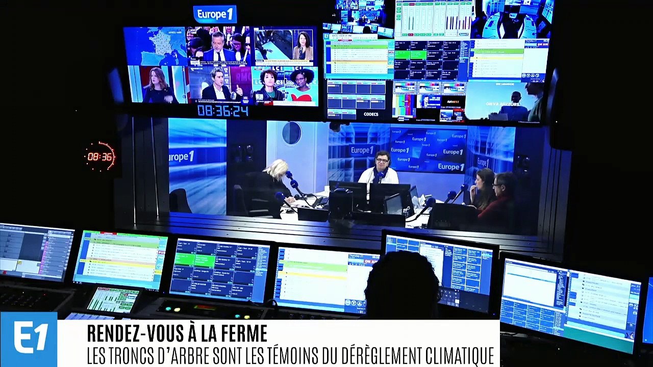 Les troncs d’arbre sont les témoins du dérèglem...