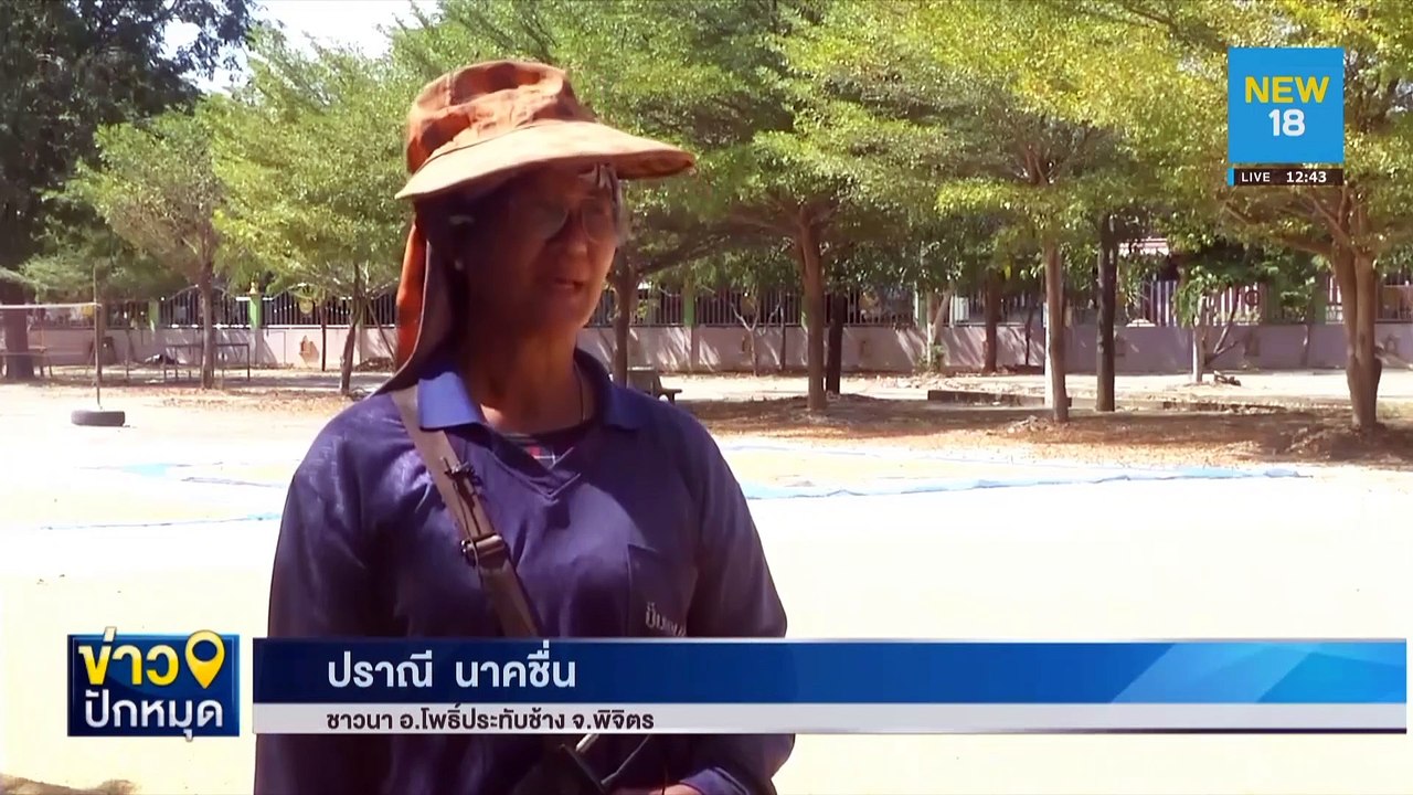 เปิดลานวัดให้ชาวนาตากข้าว จ.พิจิตร | NEW18
