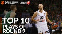 Turkish Airlines EuroLeague Regular Season Round 9 Top 10 Plays