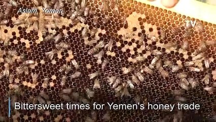A life less sweet for Yemen's honey trade as war drags on