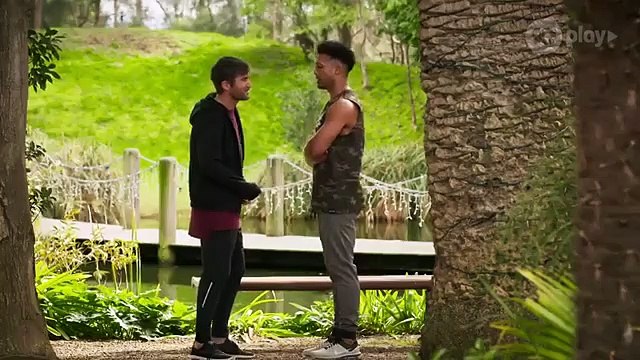 Neighbours 21st November 2019 (8239)