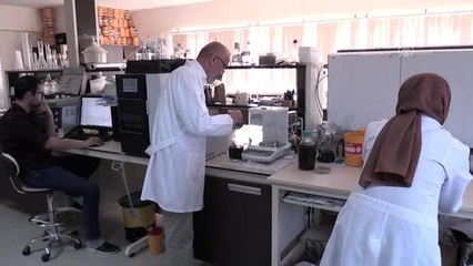 Mikrobiyal peynir mayasıyla ekonomiye katkı sağlayacak