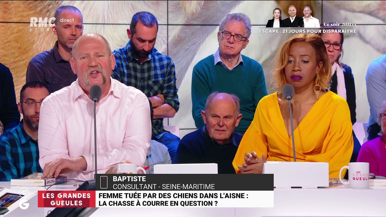 Femme tuée par des chiens dans l'Aisne : la chasse à courre en question ? - 21/11