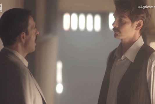 Άγριες Μέλισσες: Οι σοκαριστικές στιγμές που έκαναν το τηλεοπτικό κοινό να λυγίσει1