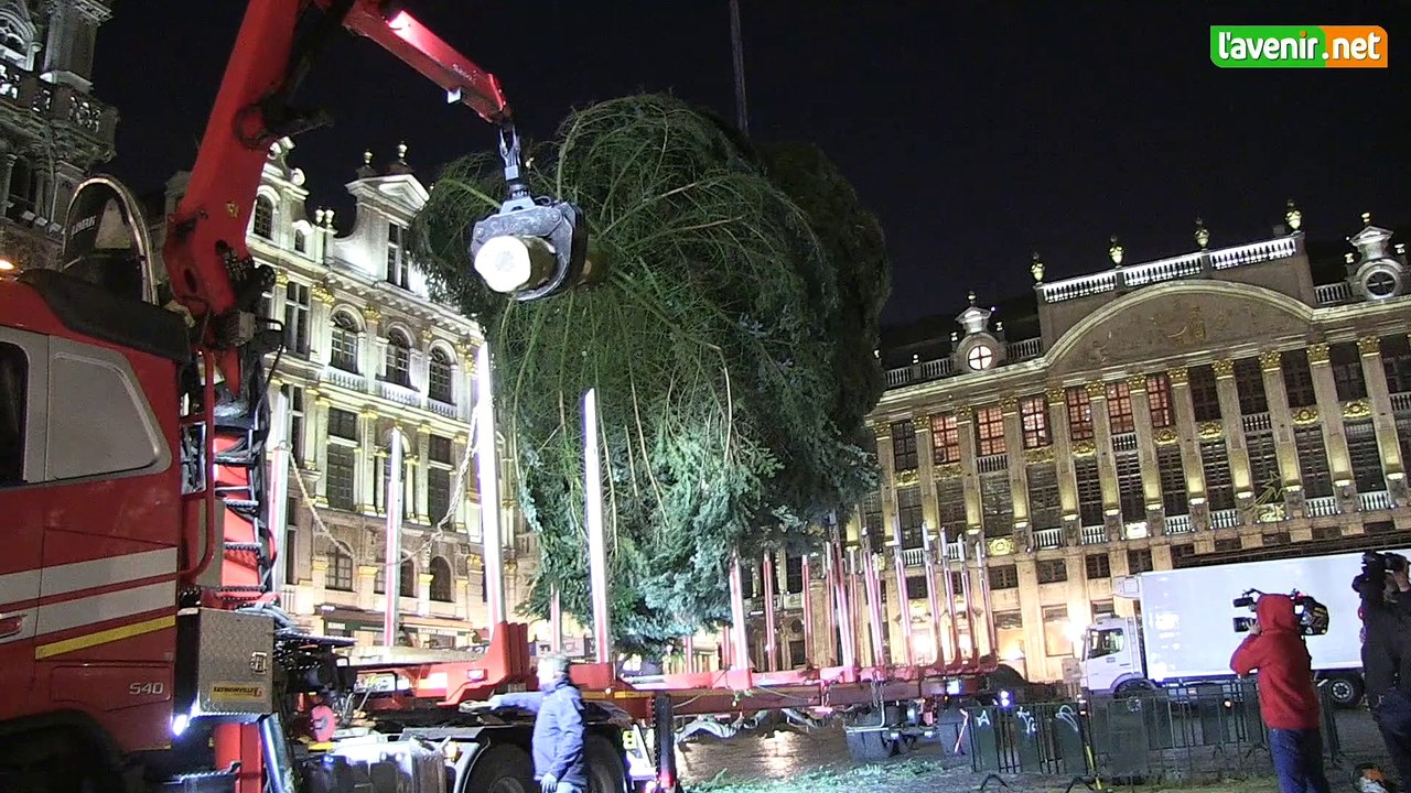 L'Avenir - L'échevin stavelotain est venu planter lui-même le sapin sur la Grand-place de Bruxelles