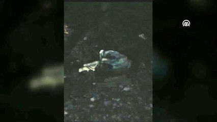 "Beşkardeşler" hayata tutundu