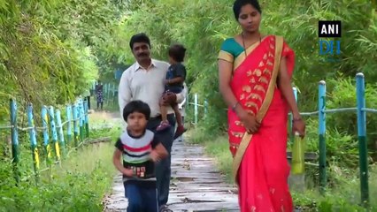 Download Video: Migratory birds flock to Gudavi Bird Sanctuary in Shivamogga