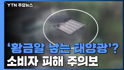 '황금알 낳는 태양광'?...소비자 피해 주의보 / YTN