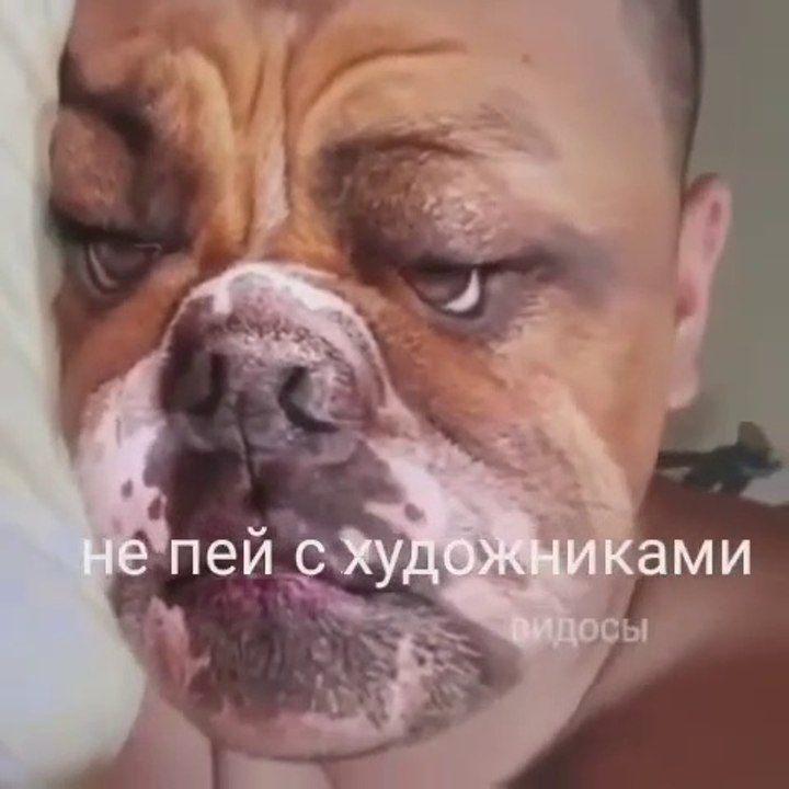 56_dailyfunny/funny/ rire/reir/lustig/laugh/rido/lachen/हंसी/râs/viral