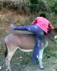 58_dailyfunny/funny/ rire/reir/lustig/laugh/rido/lachen/हंसी/râs/viral