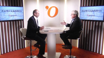 Pierre Vermeren (historien): «Traiter l’islam de France sans prendre en compte sa dimension internationale, c’est être aveugle»