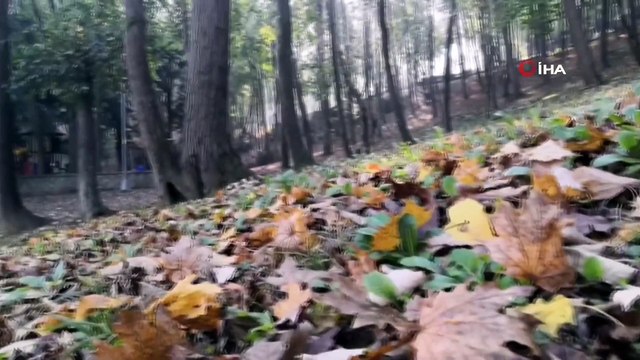 Beykoz'da Sonbahar Manzarası Hayran Bıraktı