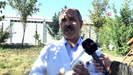 Prof. Dr. Akar: ”İnsanlar doğal yaşamı da görsünler diye Gelengi bahçesini kurduk”
