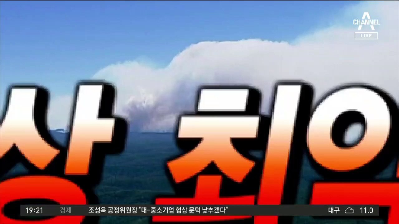 산불 뚫고 코알라 극적 구조