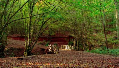 Kasımda Beykoz başka güzel