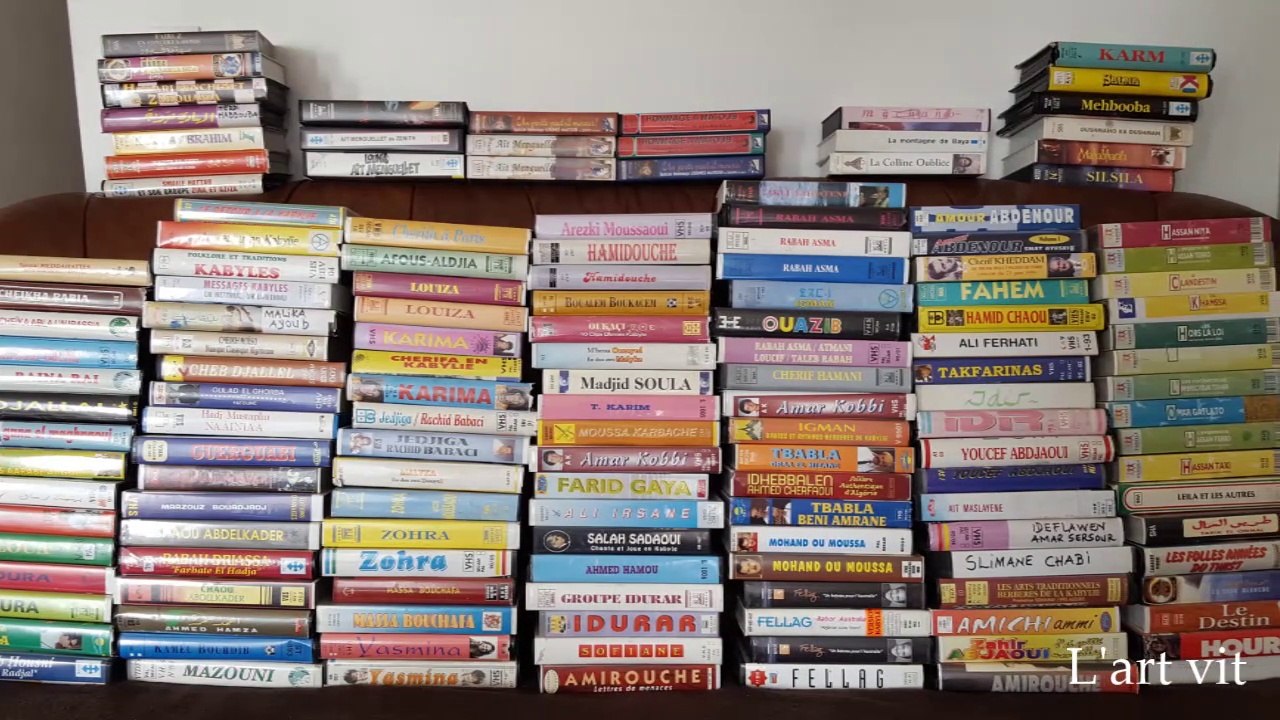 LarVidéo Homme System (VHS)