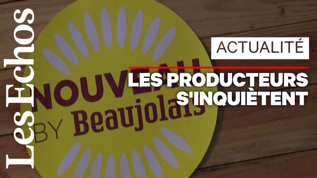 Les producteurs de Beaujolais nouveau inquiets des taxes de Trump
