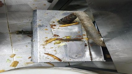 유명 햄버거 프랜차이즈 매장 8곳 중 1곳 '위생불량' / YTN