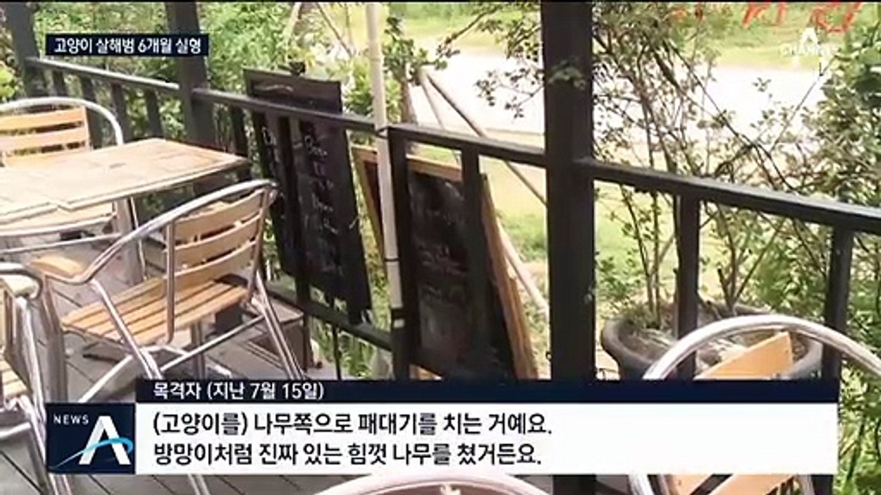 ‘고양이 잔혹 살해’ 징역 6개월… “이례적 선고” 평가