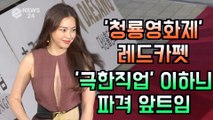 '청룡영화제 레드카펫' 이하늬, 파격 앞트임 드레스