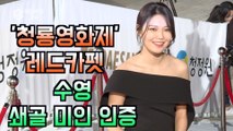 ′청룡영화제 레드카펫′ 수영, 어깨 드러낸 드레스로 쇄골미녀 인증