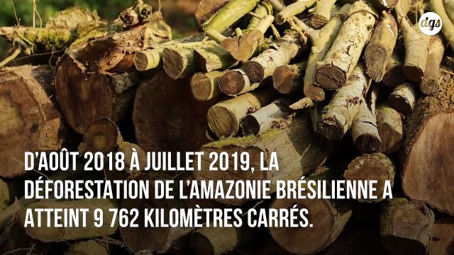 La déforestation en Amazonie au plus haut depuis 2008