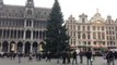 Bruxelles : le sapin de Noël installé sur la Grand Place (vidéo Germani)