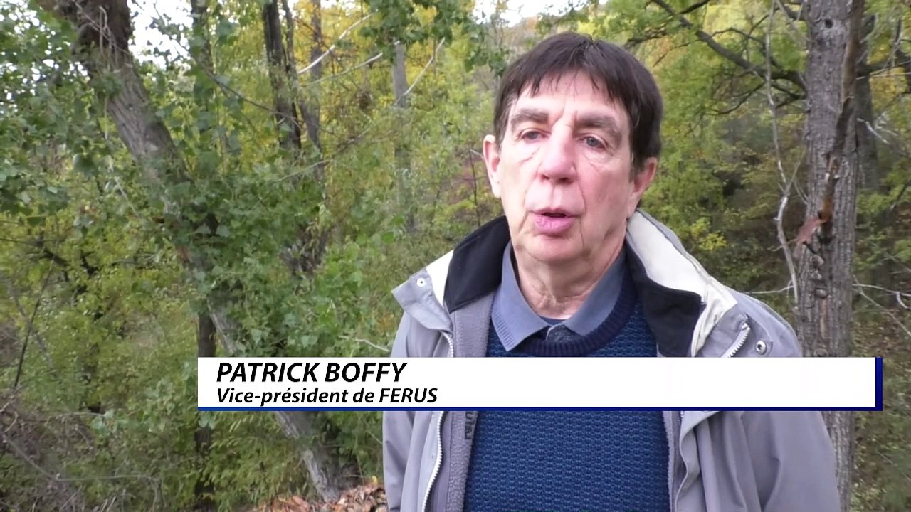 D!CI TV : Ferus s'insurge des actions des éleveurs contre le loup