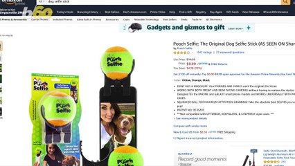 Amazing Gift Ideas for Your Dog, Including a Pawsecco Drink Set!