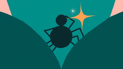 David Attenborough on Spiders with Personalities