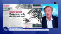 Médecins traitants : une espèce en voie de disparition ?