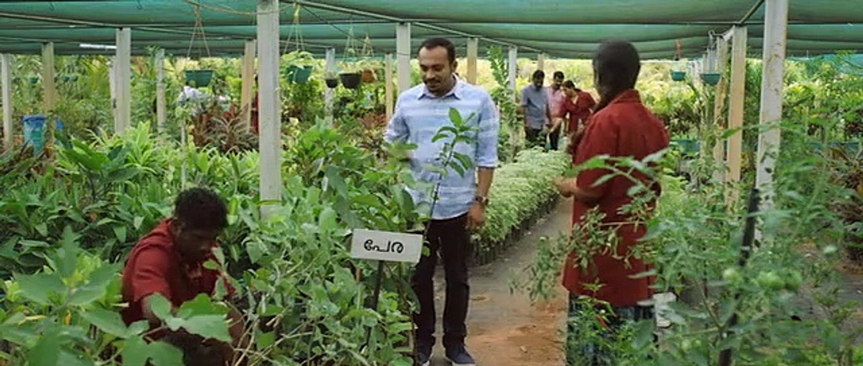 Vikruthi (2019)[Malayalam - HQ DVDRip - x264 ESubs] Movie Part 1